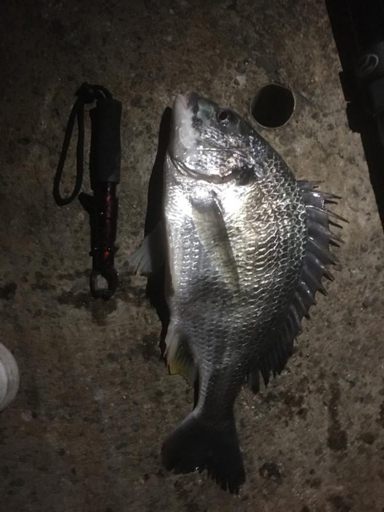 第二回雰囲気あります