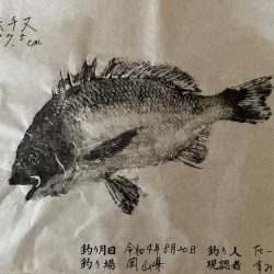 雨の中投げてきました