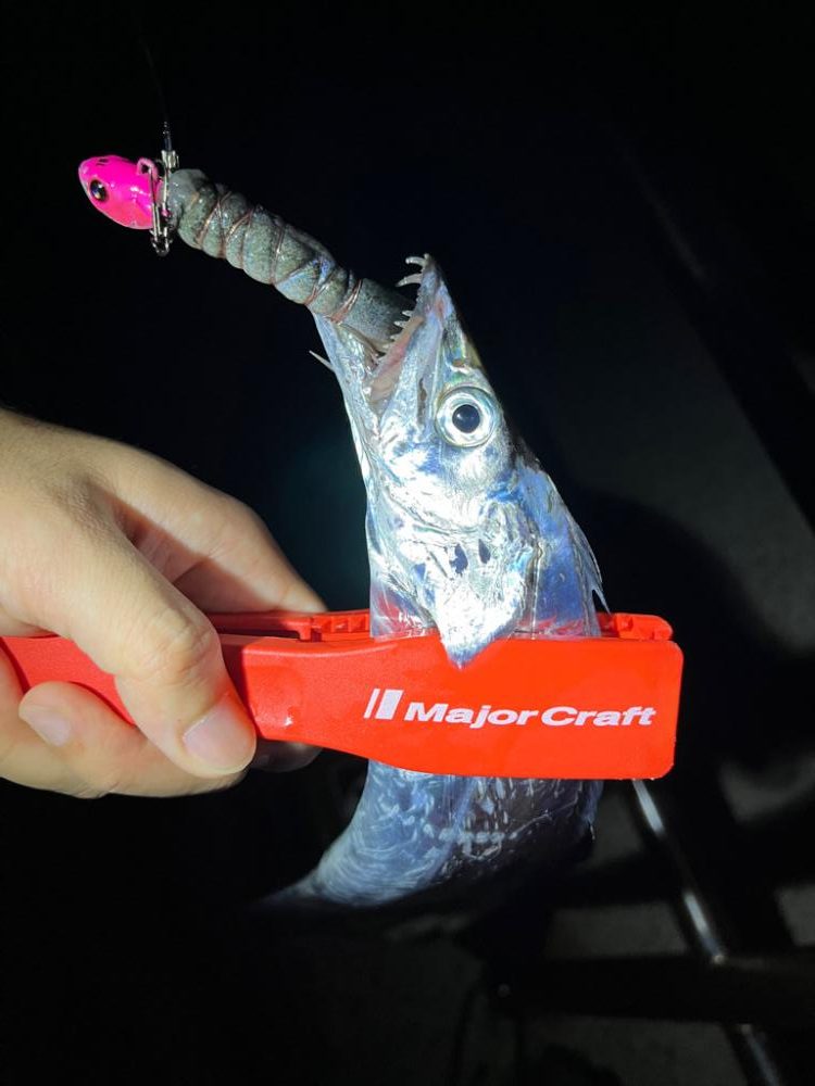 ショアタチウオテンヤ