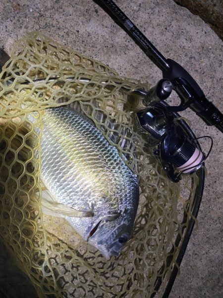 淀川ブリームゲーム