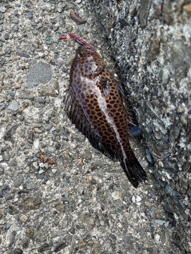 隙間時間ライトゲーム