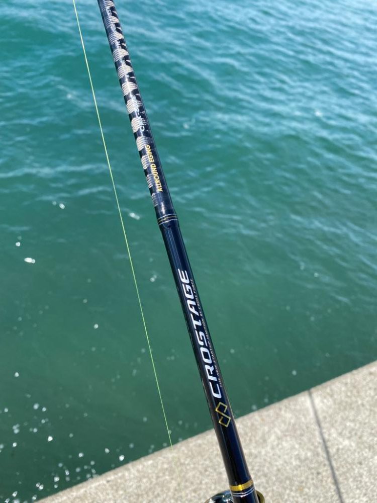 子イカリサーチ