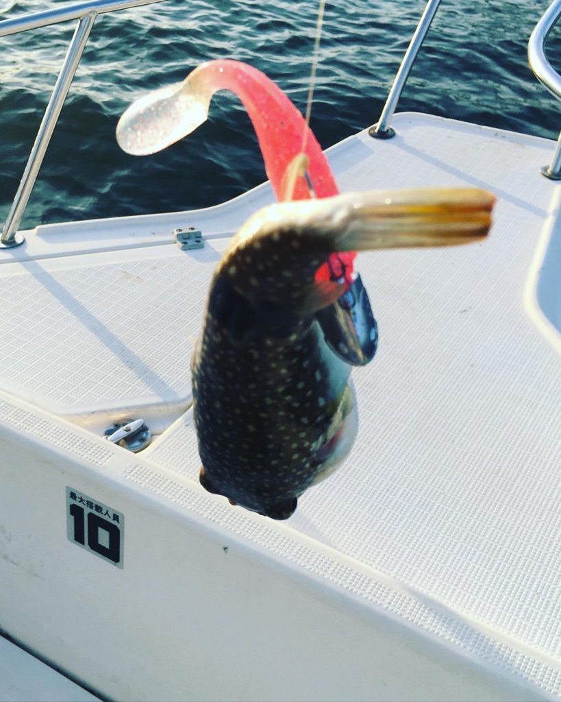 初めてのマゴチからのワタリガニ