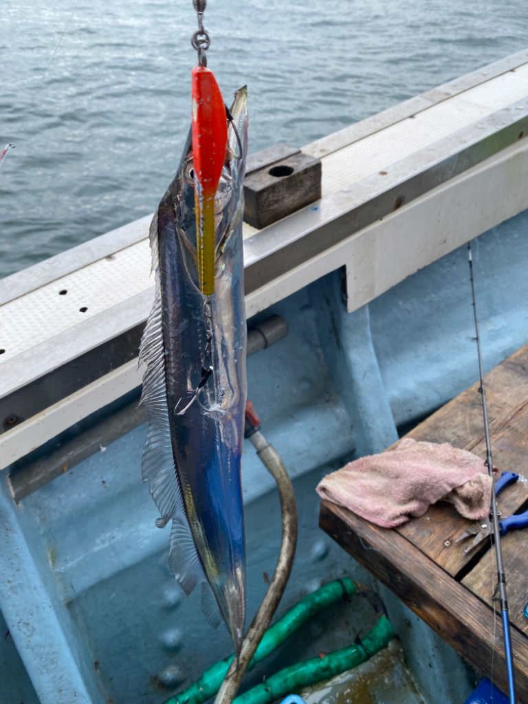 今シーズン初の船太刀魚 純栄丸