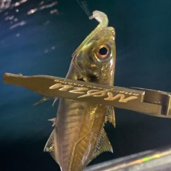 ボートアジング