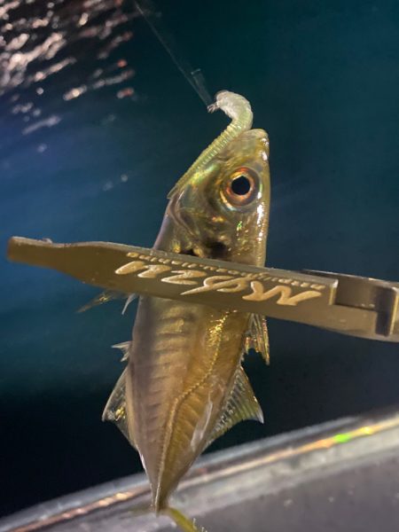 ボートアジング