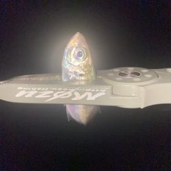 カスタムロッドとの相性