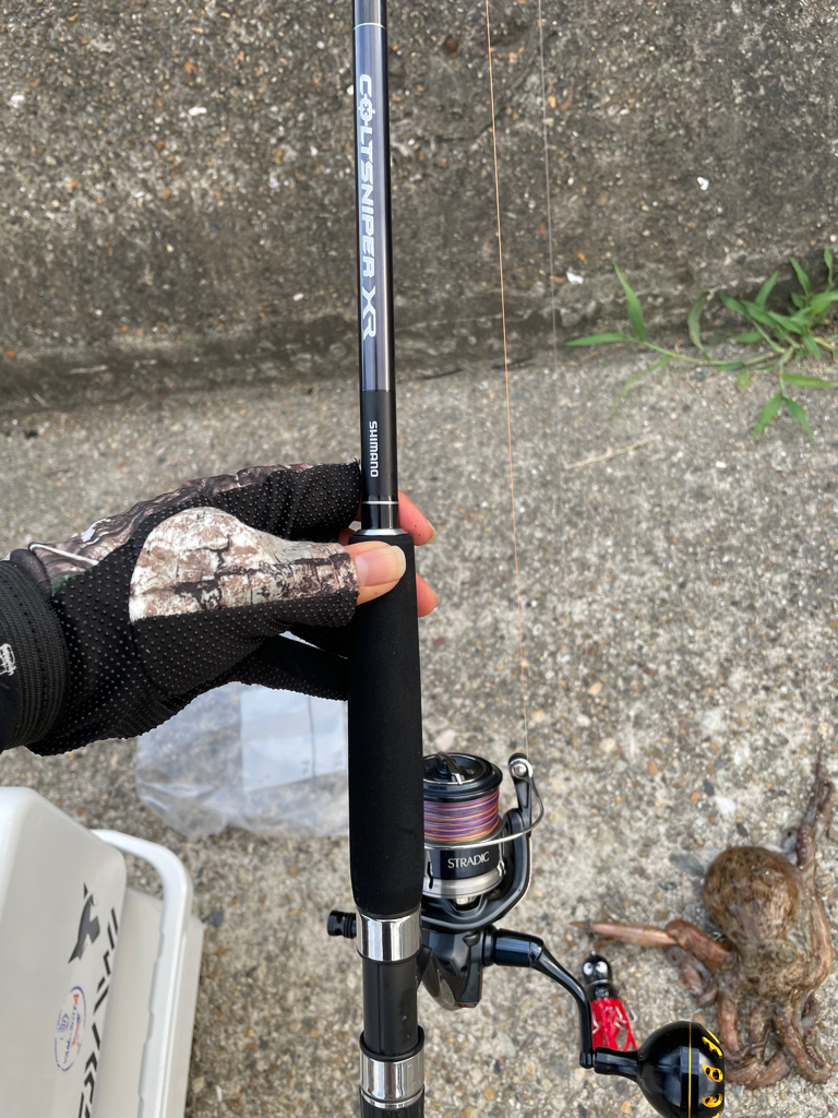 ２日連続のタコ🐙