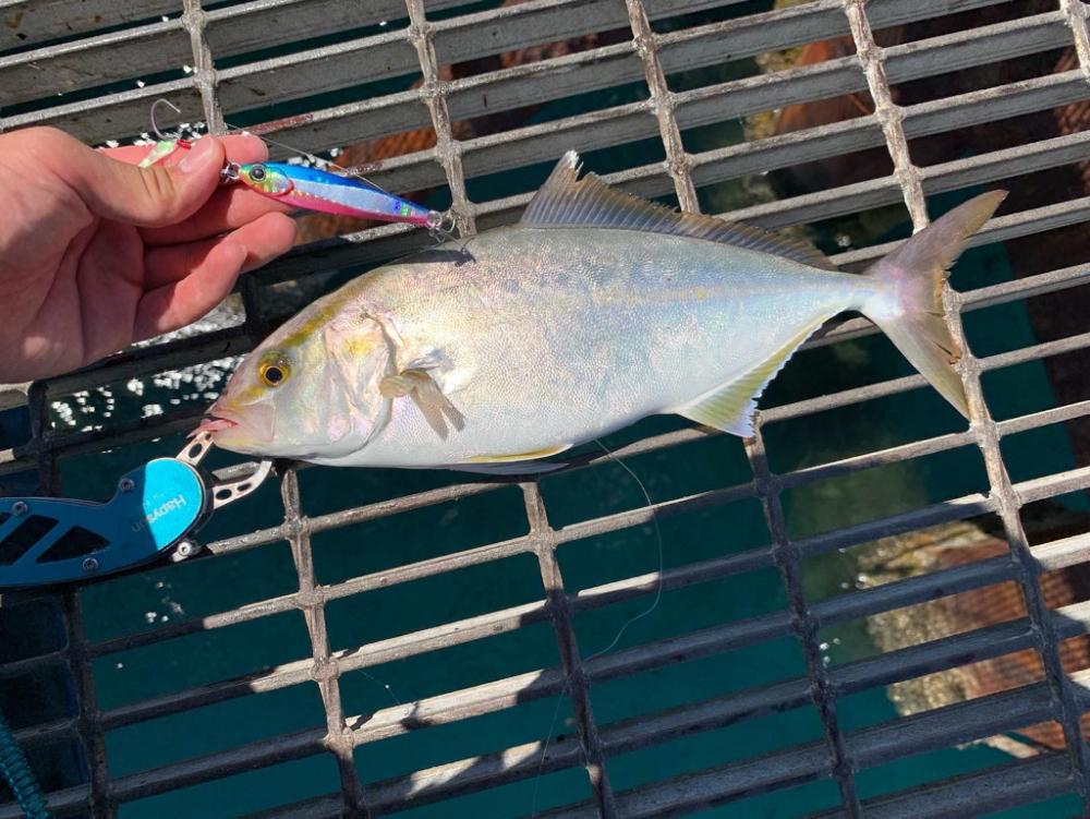 小さいのに引きがヤバい‼︎