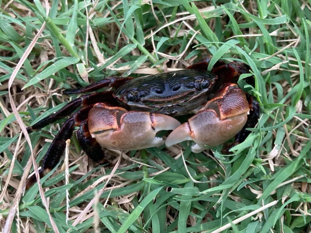 なかなか釣れない！