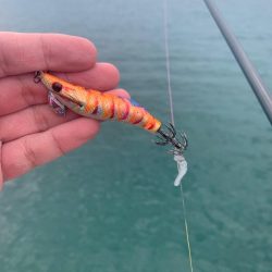 念願のシーズンイン！！