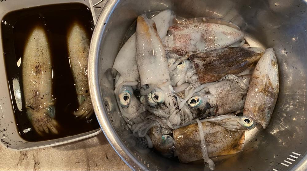 カヤックフィッシング