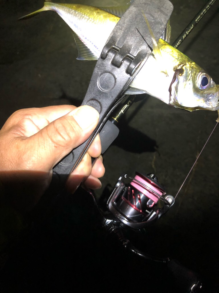 2022 佐渡ヶ島ライトゲーム&エギング