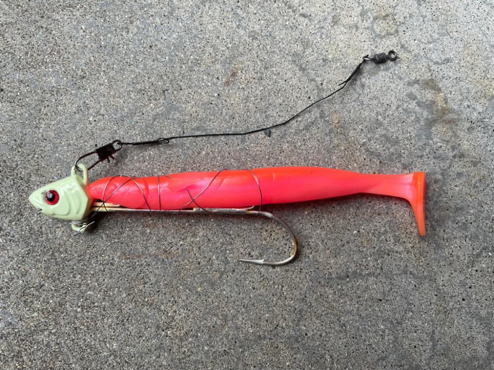 久しぶりに、、‼️