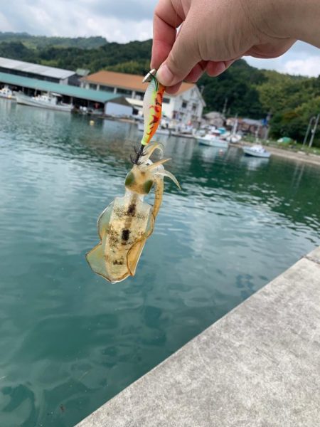 久しぶりの日本海釣行