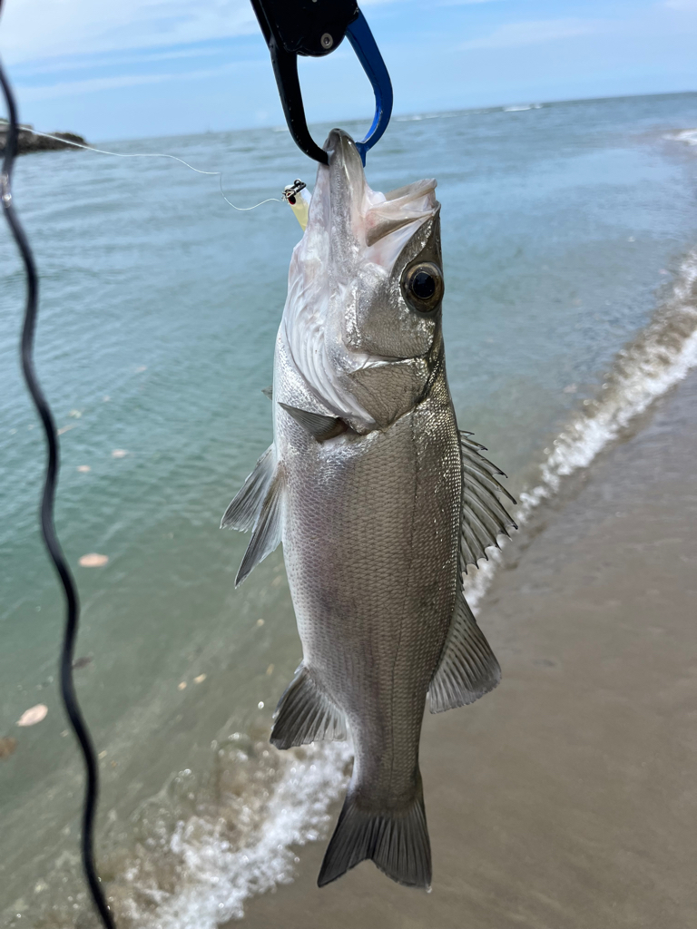 日帰り出張2回目