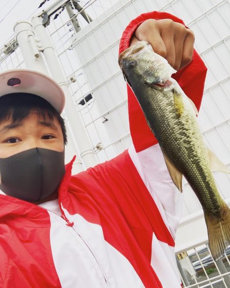 淀川小バス祭り