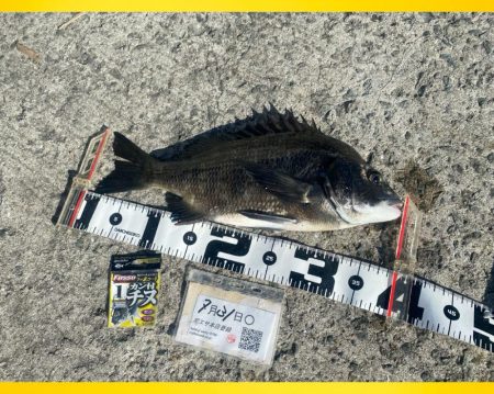 数を釣りながら良型狙い