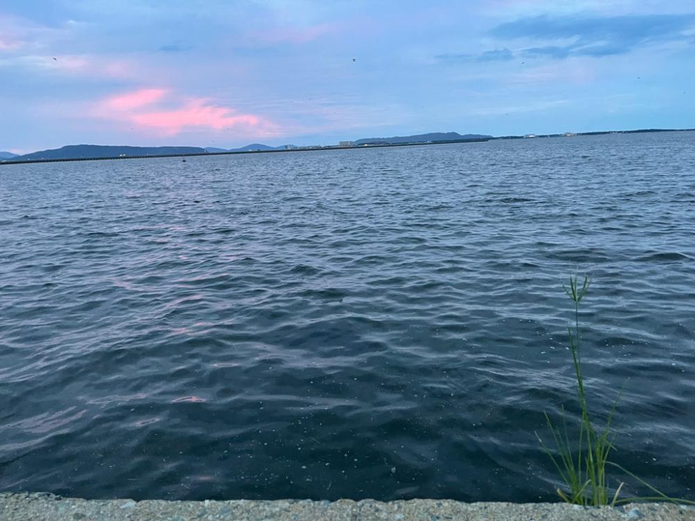 久しぶりのオープンエリア