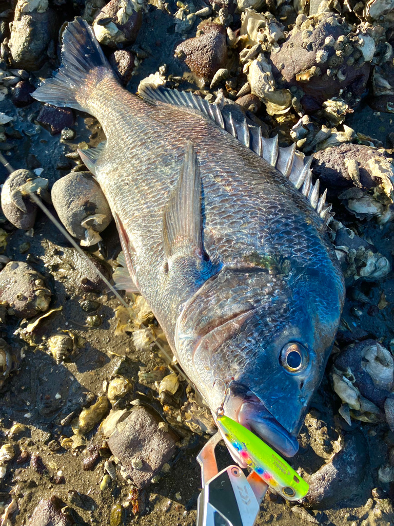 ランガントップチニング