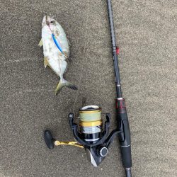 サーフ五目釣り