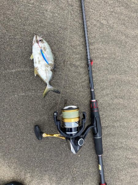 サーフ五目釣り