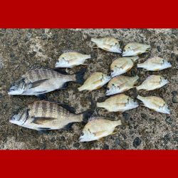 良い型を目指して