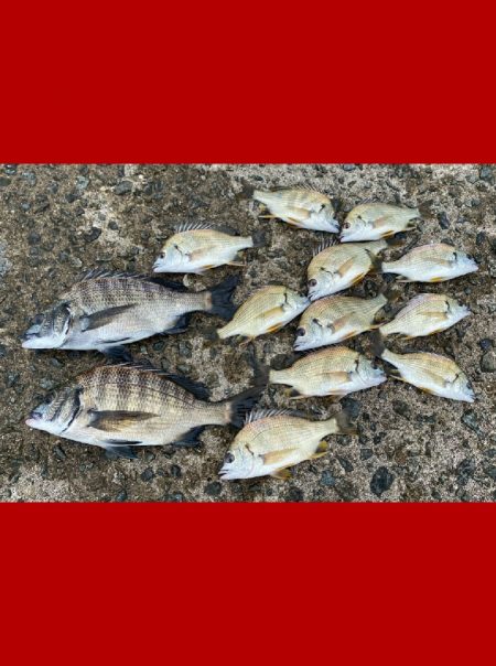 良い型を目指して