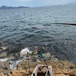 宮島チヌ練習Part2