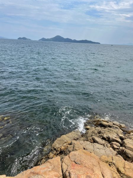 宮島チヌ釣り#2