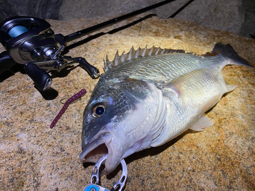 淀川ブリームゲーム