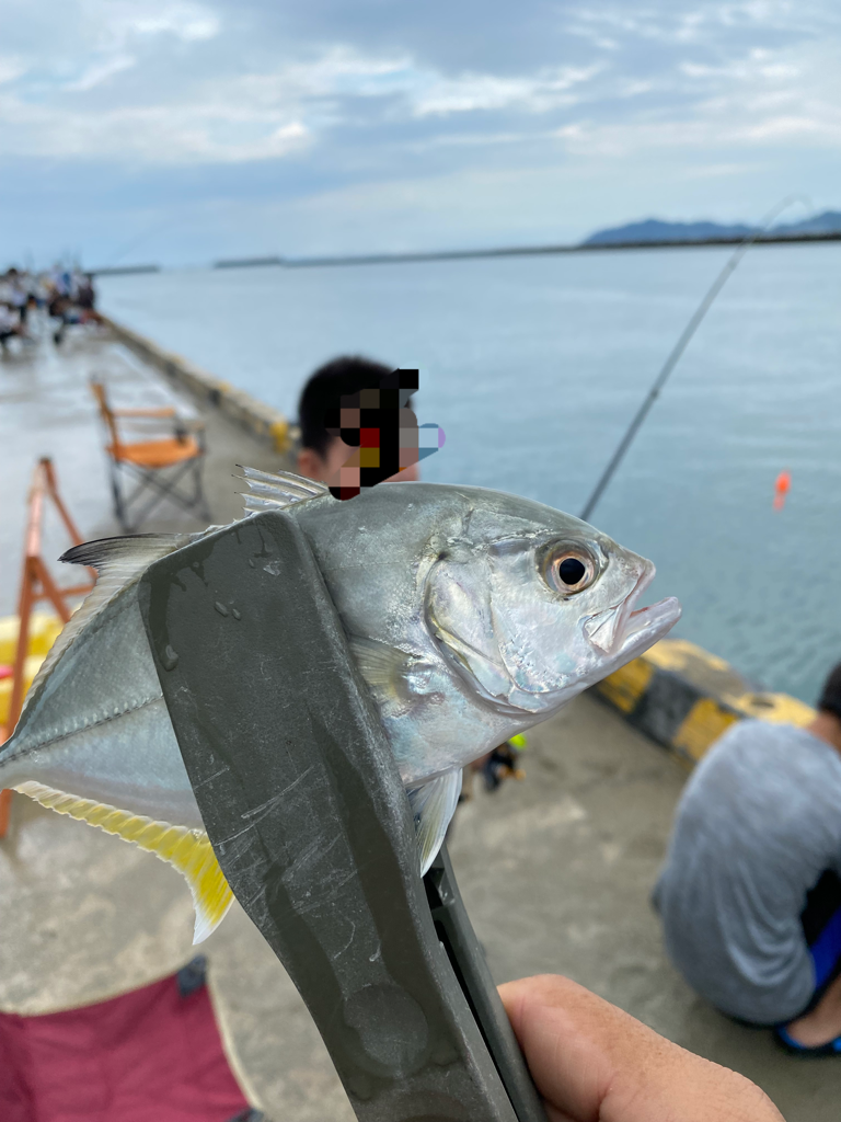 タチウオ不発の代わりが、、、