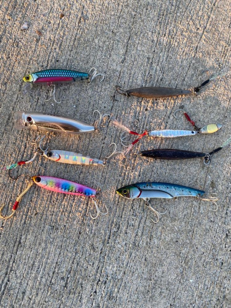 苦潮のチーバス