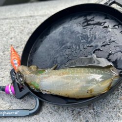 墨族大剣SP２回目の釣行で墨付け出来ました！！