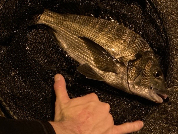 ライトゲームのつもりがチニングにw