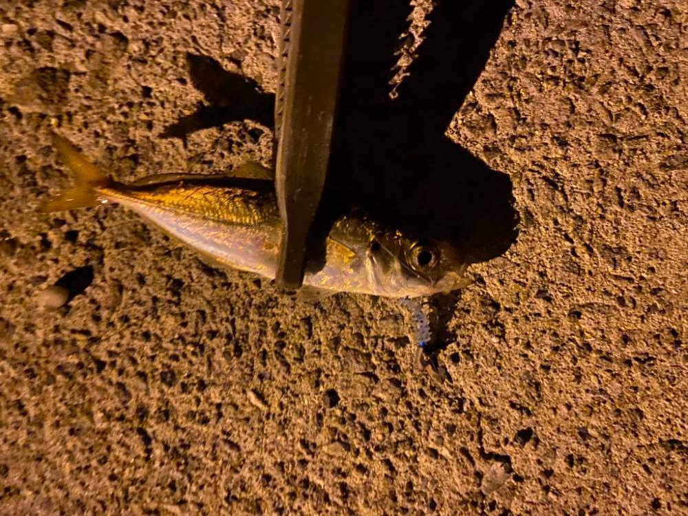 ボトムアジング