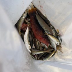 久しぶりのとっとパーク