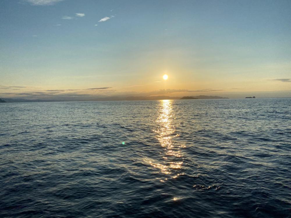 イカメタル行ってきました