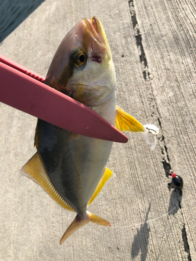 お盆の帰省 第二弾