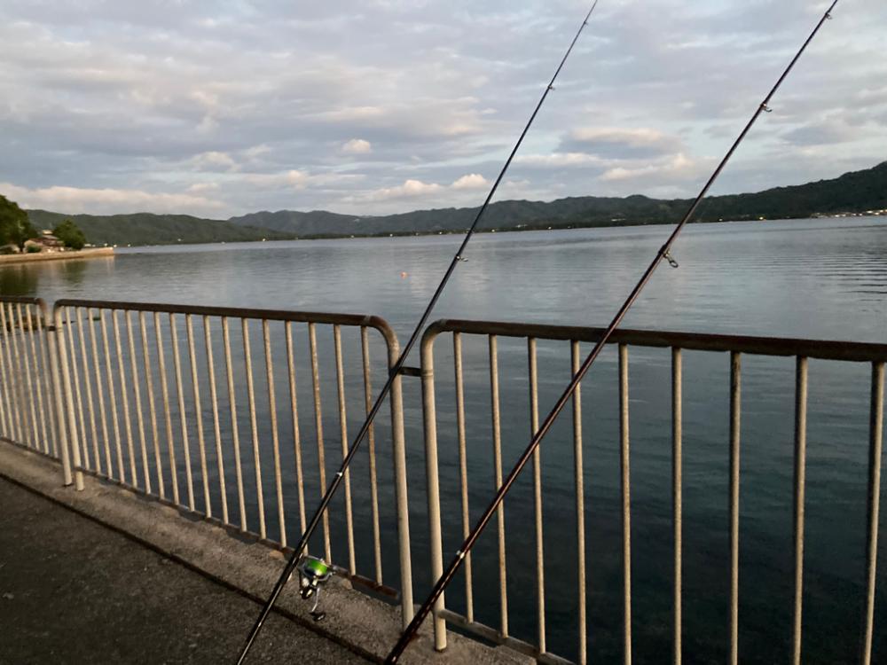 宮津へのキス釣