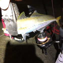 2022 佐渡ヶ島ライトゲーム