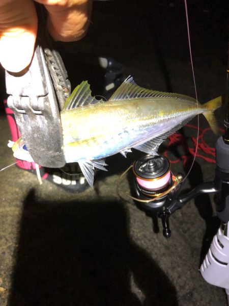 2022 佐渡ヶ島ライトゲーム