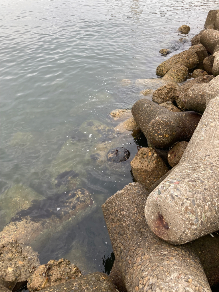 ☆泉州リベンジャーズ