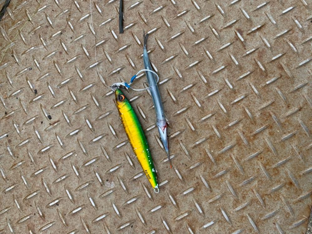 ホームでついに！