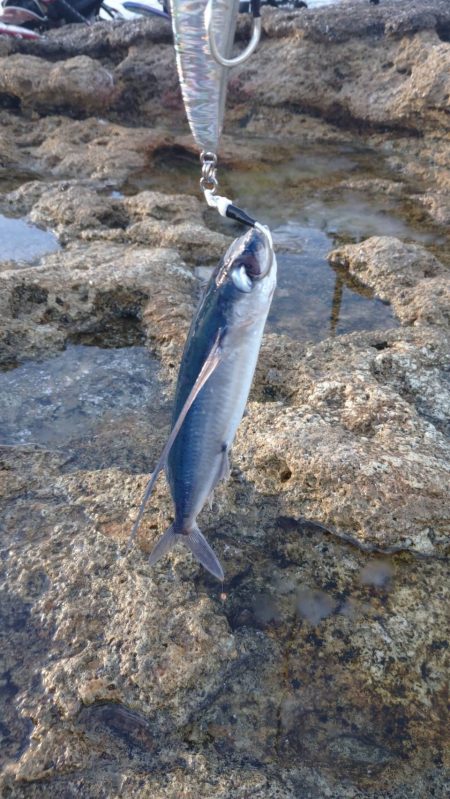 中国遠征最終日