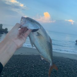 サーフでまたショゴ！