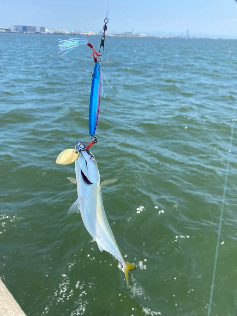 西宮ケーソンでジギング