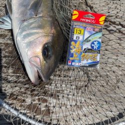 今日は良い日だ（笑）