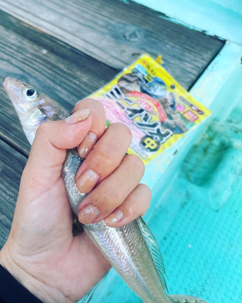 ボートでキス釣り