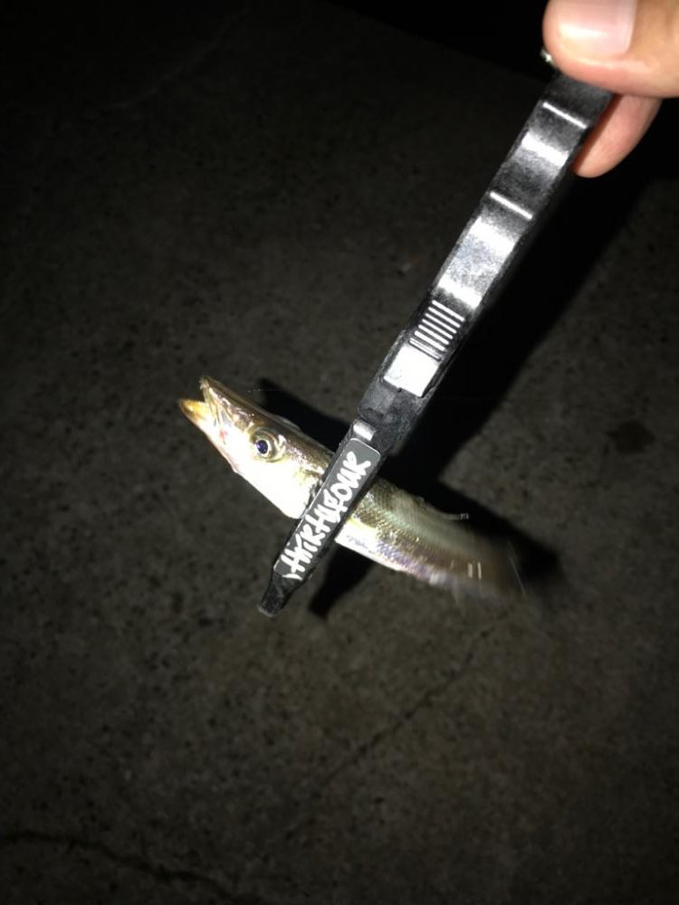 久しぶりの釣行🎣